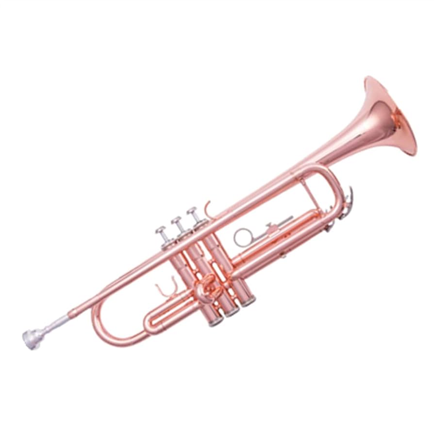 Amazon.co.jp: 金管楽器 B♭ トランペット 楽器 面フルリン 学生